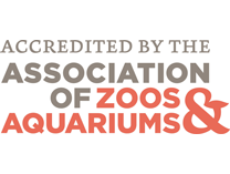 Accredited by the Association of Zoos and Aquariums